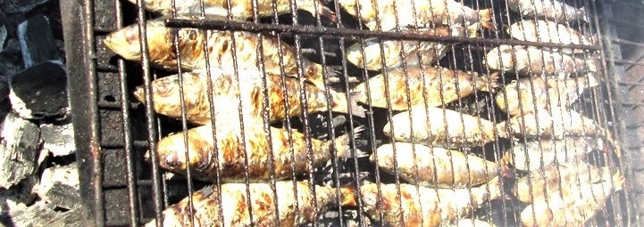 Sardines en grillades