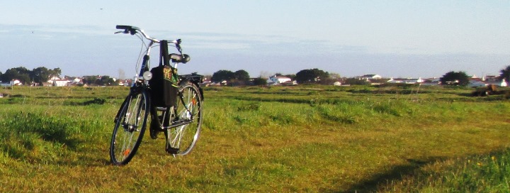 Vélo en ballade au marais