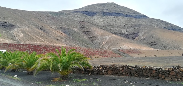 Volcan avec palmiers