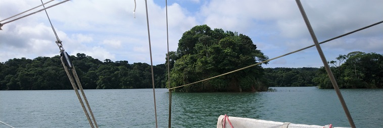 Mangrove du lac Gatún, oct. 2022