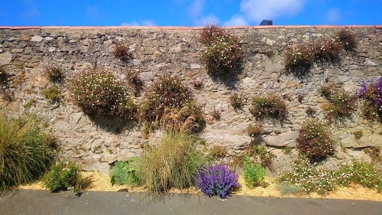 Mur du repos des anciens, mai 2022