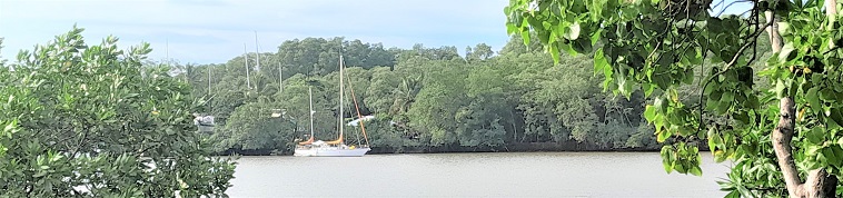 Nimic II au ponton dans la mangrove, oct. 2023