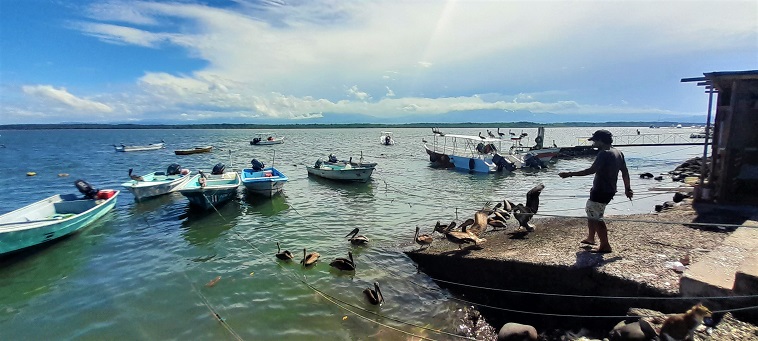 Concours de pêcheurs à Puntarenas, juil. 2023