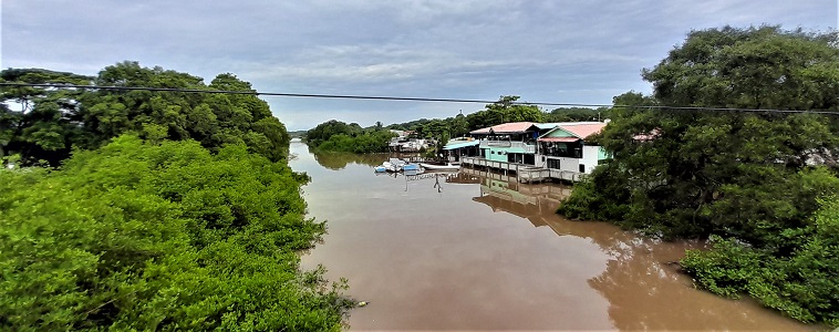 Quebrada en mangrove à Puntarenas, juil. 2023