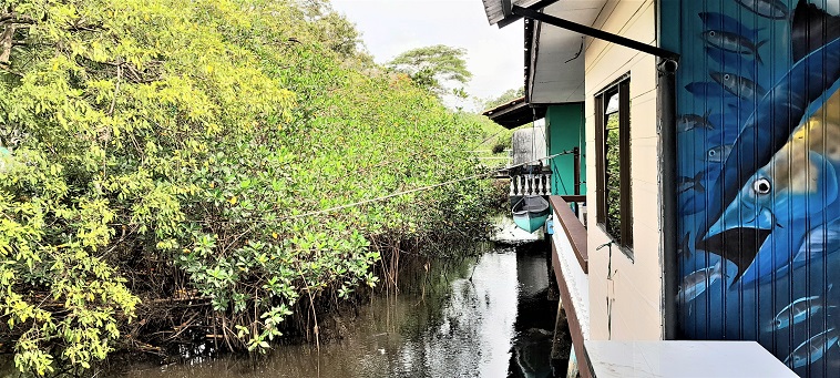 Maison de mangrove, nov. 2023
