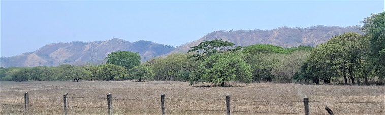 Paysages du Guanacaste, mai 2023