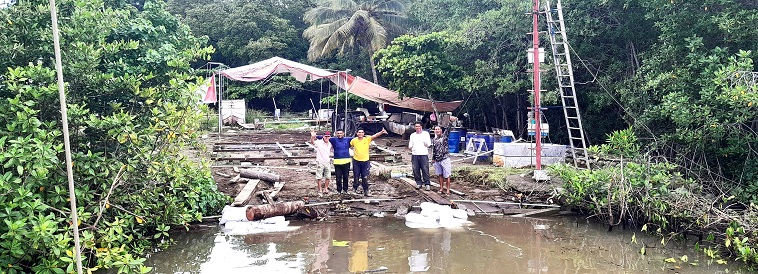 Opération réussie, Nimic a retrouvé sa place en lisière de la mangrove., juil. 2024