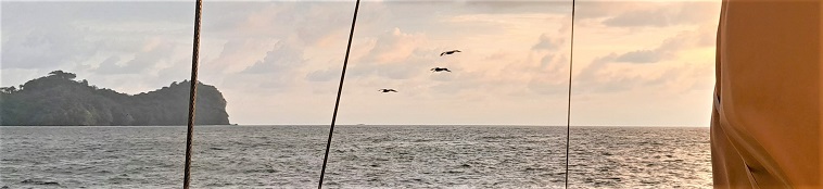 Vol de pélicans au coucher du soleil de Quepos, janv. 2024