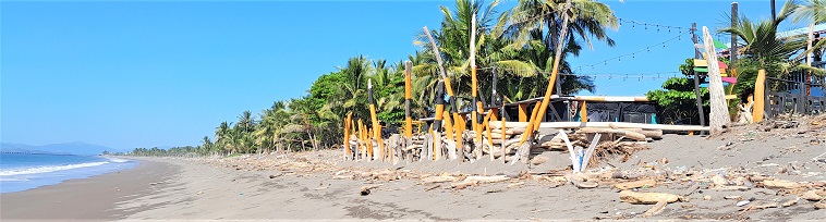Les maisons sur la dune en quête de renouveau, janv. 2024
