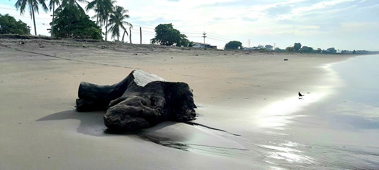 Chaussures sur la plage de Puntarenas ?, avr. 2024