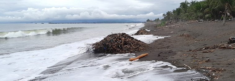 Recyclage de plage, point de vue humain, juin 2024