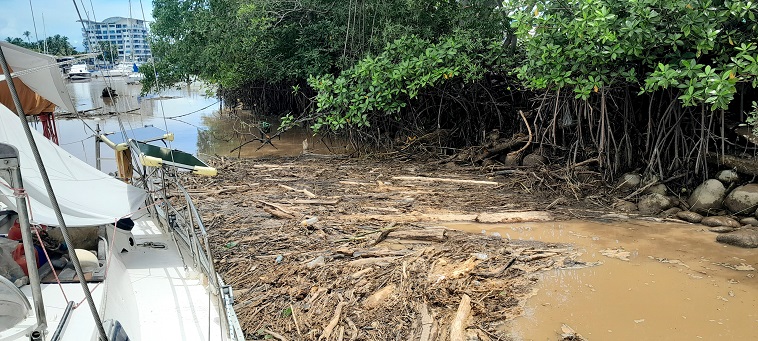 Pont flottant pour animaux de mangrove, juin 2024