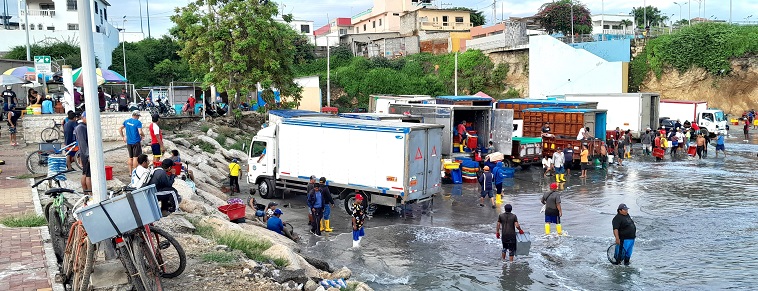 Pêcheurs à marée haute, avr. 2025