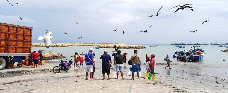Pêcheurs avec mouette, pélican, frégates et aigrette, mars 2025