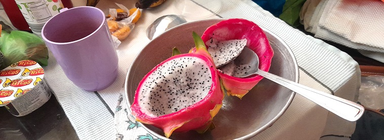 Pitahaya ou fruit du dragon comme vous voulez, mar. 2025